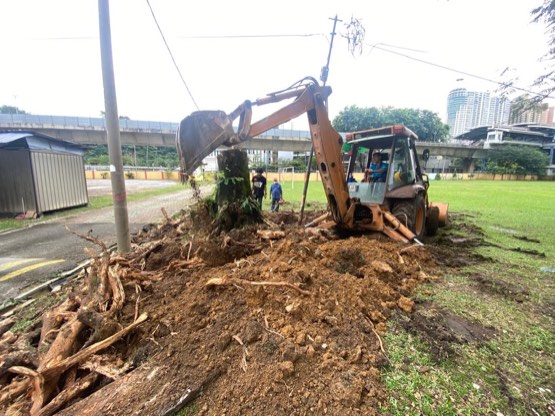 Projek tebang dan potong pokok Bomoh Pokok, gambar 3 daripada 94