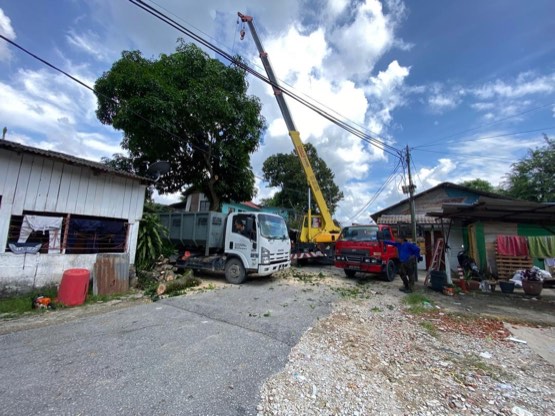 Projek tebang dan potong pokok Bomoh Pokok, gambar 5 daripada 94