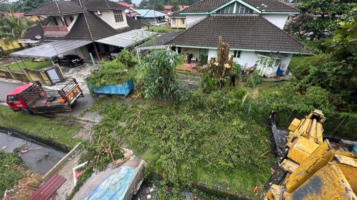 Projek tebang dan potong pokok Bomoh Pokok, gambar 12 daripada 94