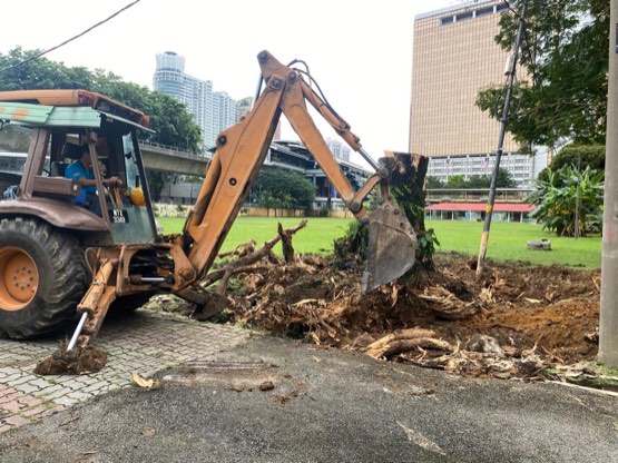 Projek tebang dan potong pokok Bomoh Pokok, gambar 23 daripada 94