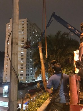 Projek tebang dan potong pokok Bomoh Pokok, gambar 24 daripada 94
