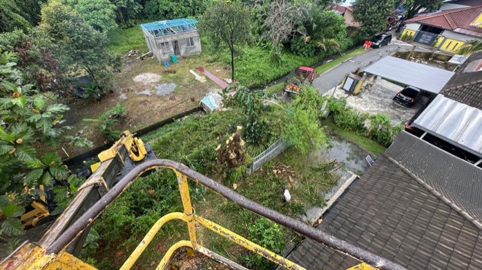 Projek tebang dan potong pokok Bomoh Pokok, gambar 26 daripada 94
