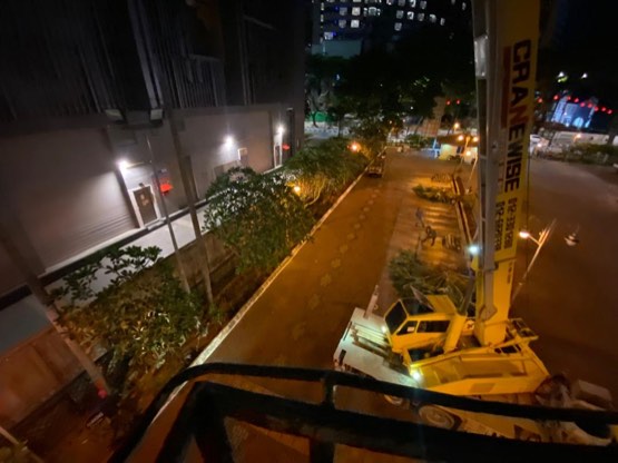 Projek tebang dan potong pokok Bomoh Pokok, gambar 27 daripada 94