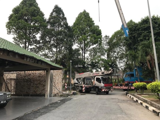 Projek tebang dan potong pokok Bomoh Pokok, gambar 30 daripada 94