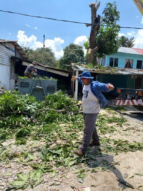 Projek tebang dan potong pokok Bomoh Pokok, gambar 33 daripada 94
