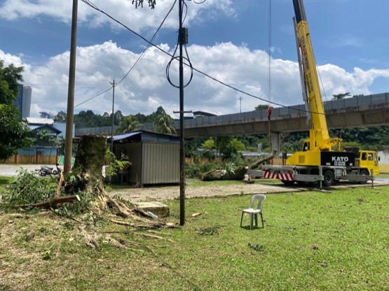 Projek tebang dan potong pokok Bomoh Pokok, gambar 36 daripada 94