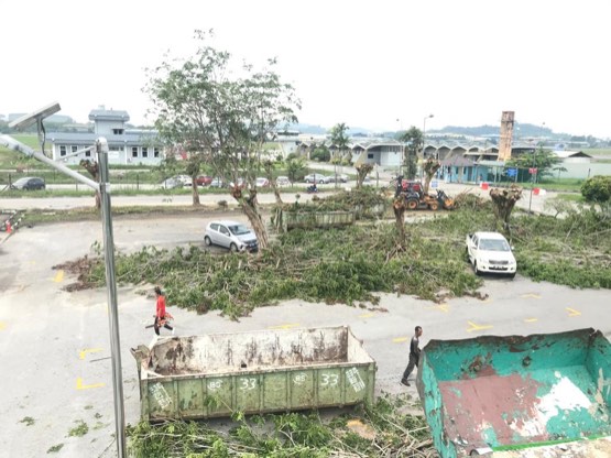 Projek tebang dan potong pokok Bomoh Pokok, gambar 44 daripada 94