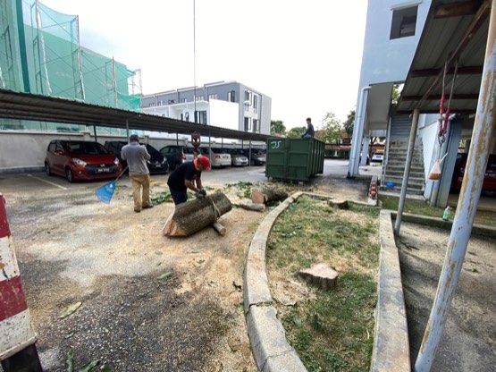 Projek tebang dan potong pokok Bomoh Pokok, gambar 53 daripada 94