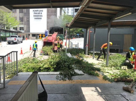 Projek tebang dan potong pokok Bomoh Pokok, gambar 59 daripada 94
