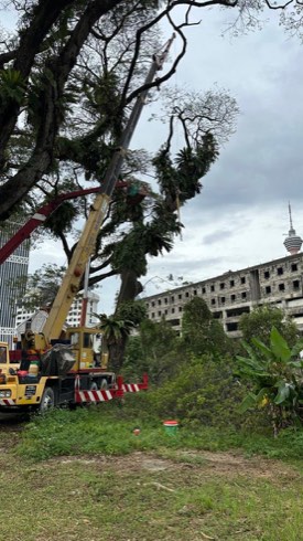 Projek tebang dan potong pokok Bomoh Pokok, gambar 61 daripada 94