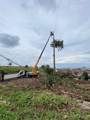 Projek tebang dan potong pokok Bomoh Pokok, gambar 70 daripada 94