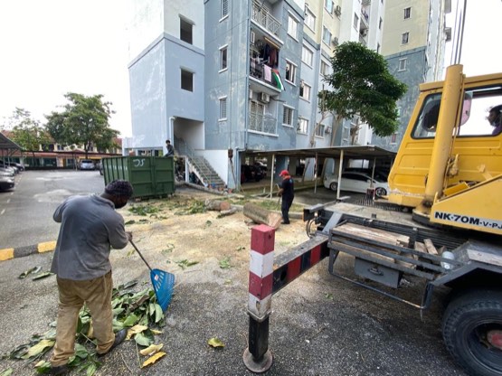 Projek tebang dan potong pokok Bomoh Pokok, gambar 72 daripada 94