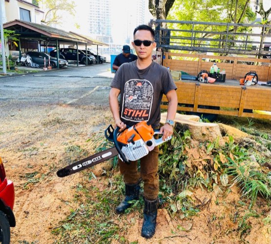 Projek tebang dan potong pokok Bomoh Pokok, gambar 77 daripada 94