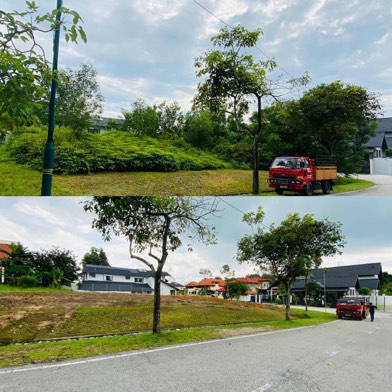 Projek tebang dan potong pokok Bomoh Pokok, gambar 78 daripada 94