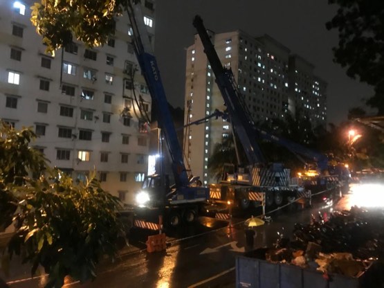 Projek tebang dan potong pokok Bomoh Pokok, gambar 80 daripada 94