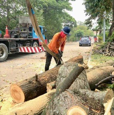 Projek tebang dan potong pokok Bomoh Pokok, gambar 82 daripada 94