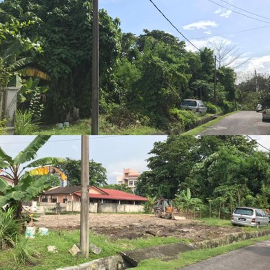 Projek tebang dan potong pokok Bomoh Pokok, gambar 87 daripada 94