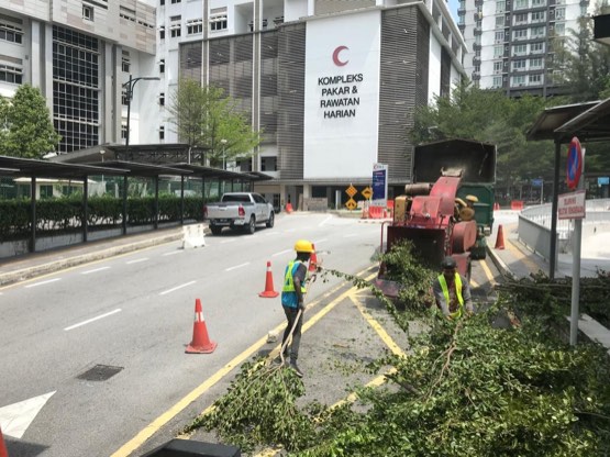 Projek tebang dan potong pokok Bomoh Pokok, gambar 90 daripada 94