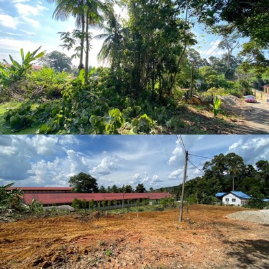 Projek tebang dan potong pokok Bomoh Pokok, gambar 91 daripada 94