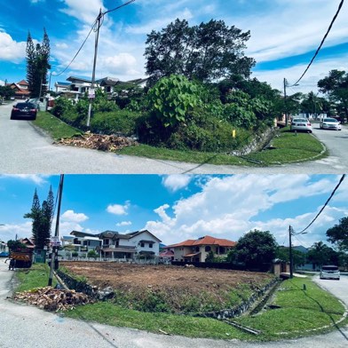 Projek tebang dan potong pokok Bomoh Pokok, gambar 92 daripada 94