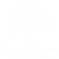 Logo Bomoh Pokok Tree Care
